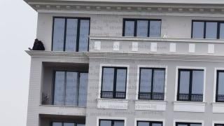 Страшна драма: Работници заплашват със самоубийство в Перник заради... 