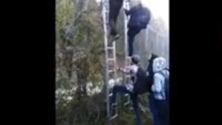 Шокиращо ВИДЕО от оградата: Орди мигранти нахлуват в България по нов маршрут