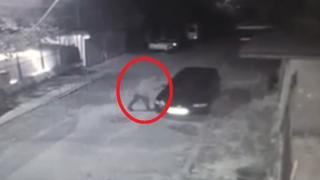 Огнена вендета! Подпалиха колата на регистратора в КАТ – Враца ВИДЕО
