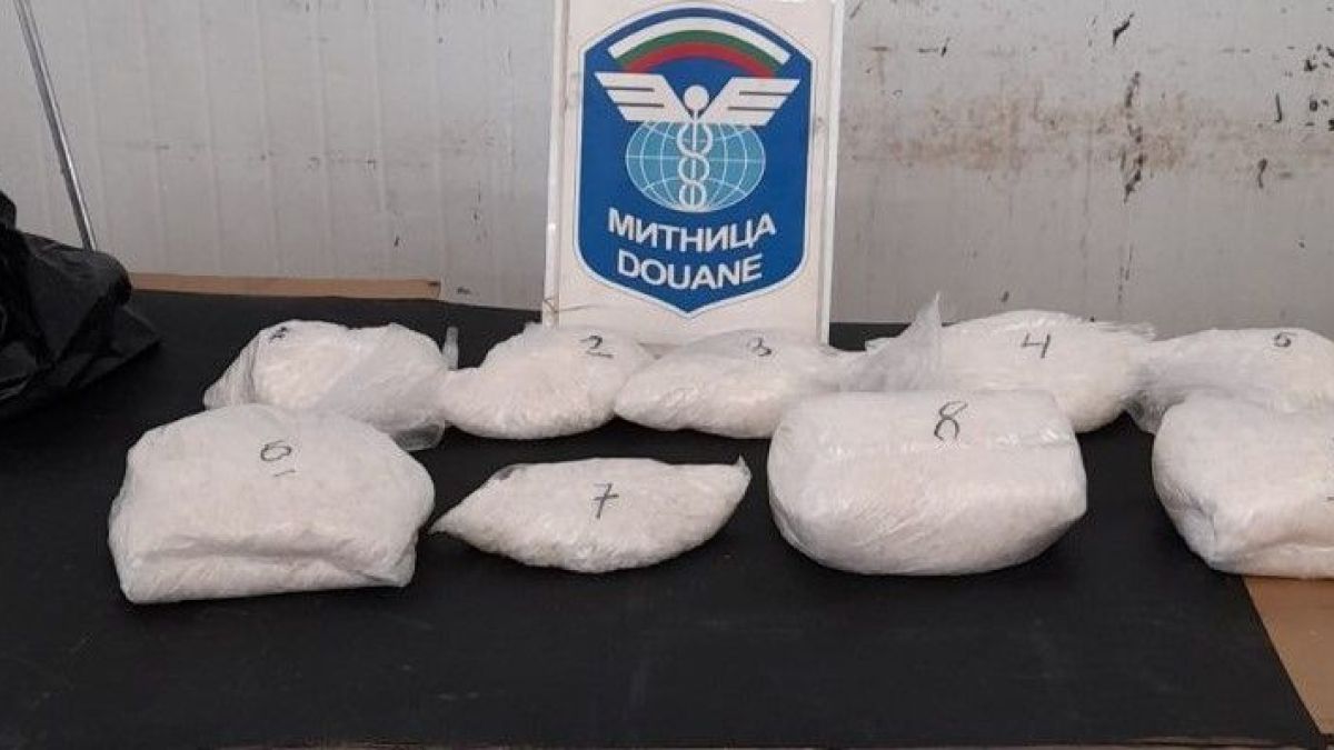 Митничари провериха турчин на границата и спряха голяма забава в Германия