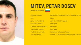 Ето кой е издирваният по цял свят наш бандит, въртял бизнес със секс робини 