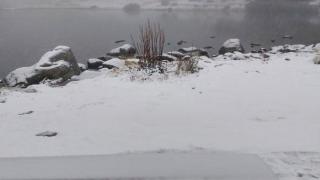 Зимата у нас упорито напомня за себе си, първи сняг падна и в... СНИМКИ 