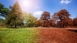 Имате 7 дни да свикнете! Точно в неделя не забравяйте да направите нещо много важно