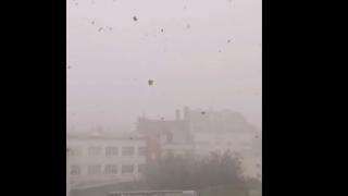 Апокалипсис в Северна Франция! Хвърчат покриви и дървета, всичко потъна в мрак ВИДЕО