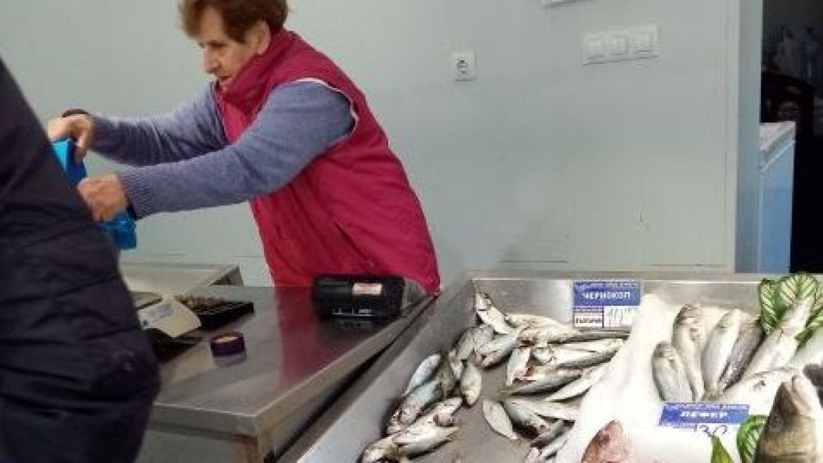 Бургаските рибари се стягат за най-хищната риба