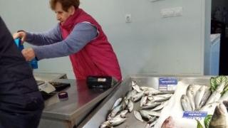 Бургаските рибари се стягат за най-хищната риба