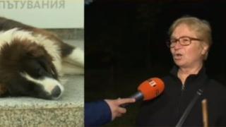 Десетки нападения и ранени в Благоевград, хората са отчаяни 