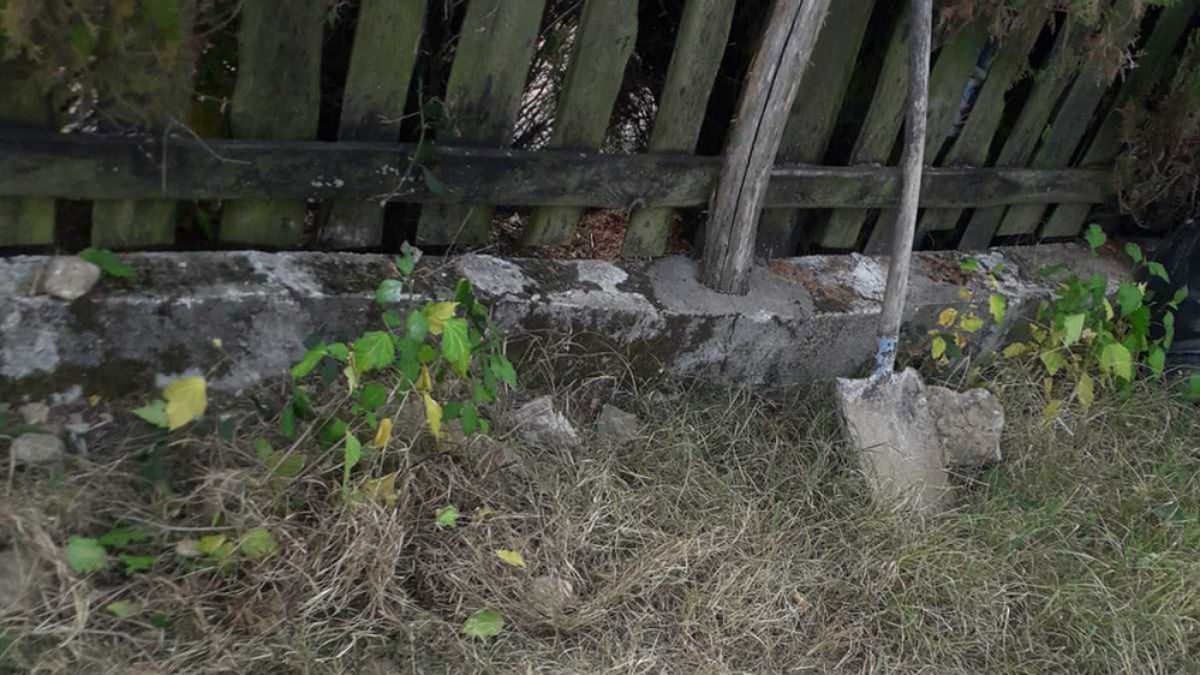 Брутално зверство край заведение на пътя за Златоград 