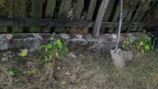 Брутално зверство край заведение на пътя за Златоград 