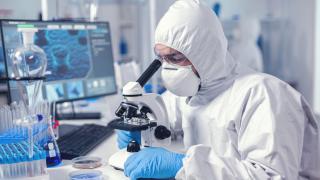 Учени от Харвард установиха какво да ядем, за да не умрем преждевременно, след 36 г. изследвания
