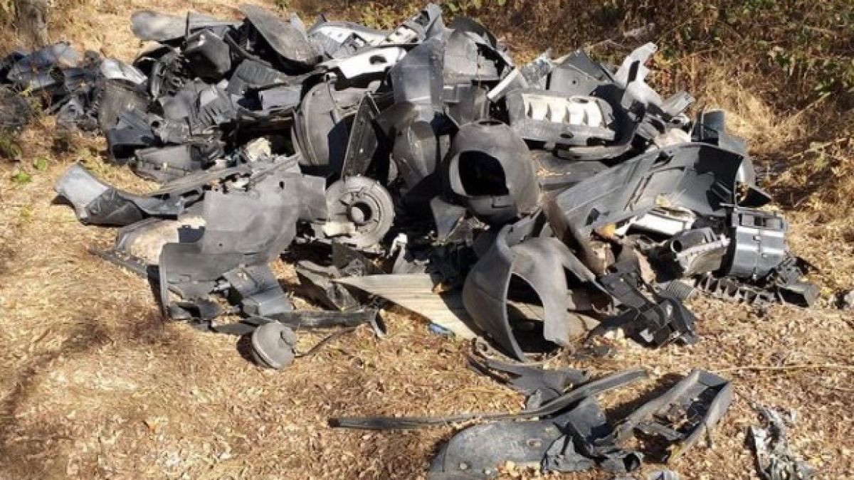 Туристка попадна на неочаквана находка в гора във Варненско СНИМКИ