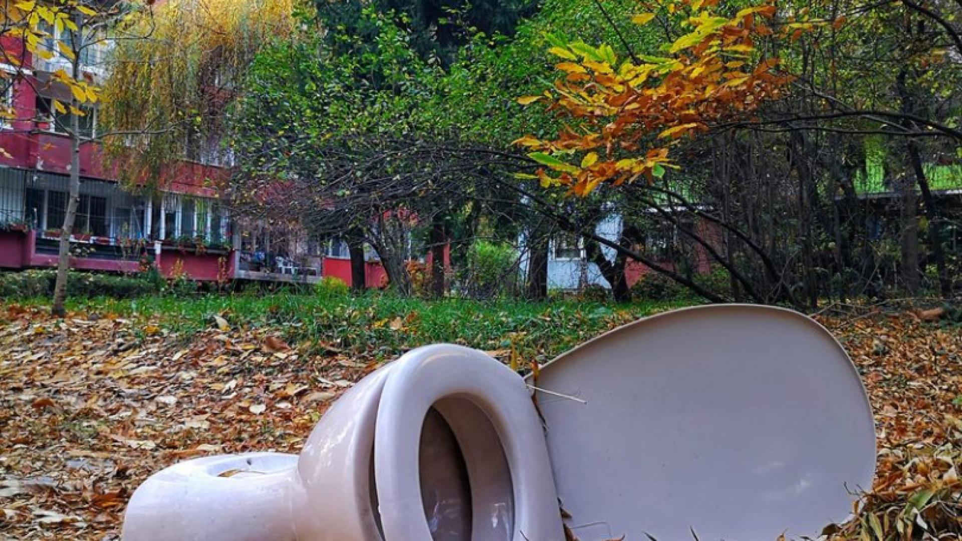 Абсурдна есенна гледка в скъпарски квартал остави столичани безмълвни СНИМКА