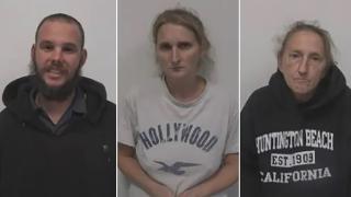 Дете живее 8 месеца в кучешка колиба: Нямало стая в къщата на мащехата му