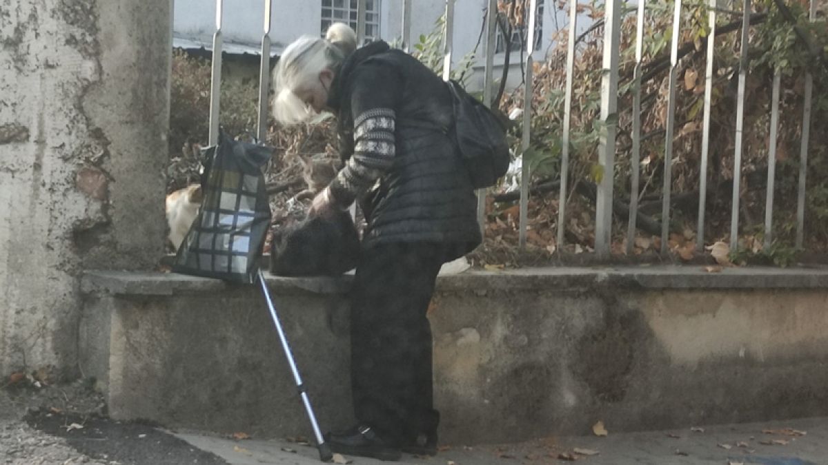 Възрастна жена пъхна коте в чантата си и мрежата прегря СНИМКА