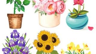 Изберете си цвете и вижте какъв характер имате СНИМКА