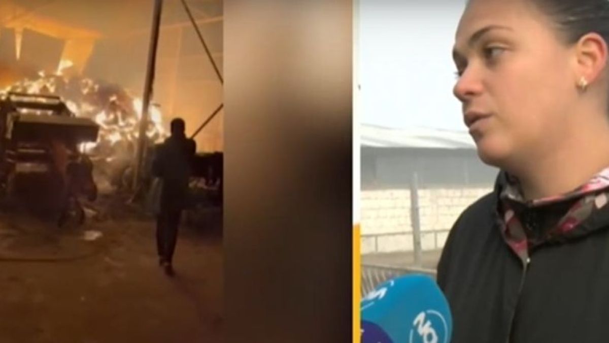 Щети за милиони: Проговориха фермерите украинци, опожарени в Петрич ВИДЕО