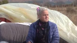 Родопчанката, която живее сама на баира, сред чакалите, не иска пари, а... ВИДЕО 