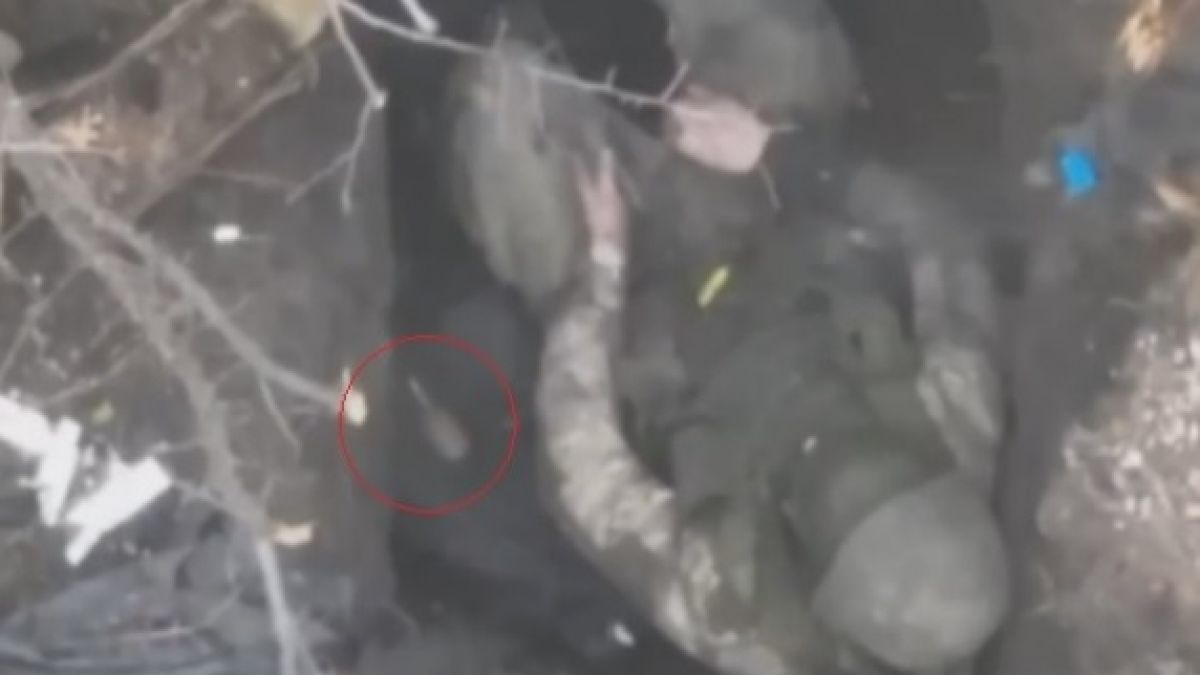 Ново ВИДЕО с граната, паднала в краката на руски бойци и реакцията им възхити мрежата