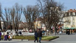 Плевенчани си скубят косите! Солени санкции грозят всеки, който посмее да... 