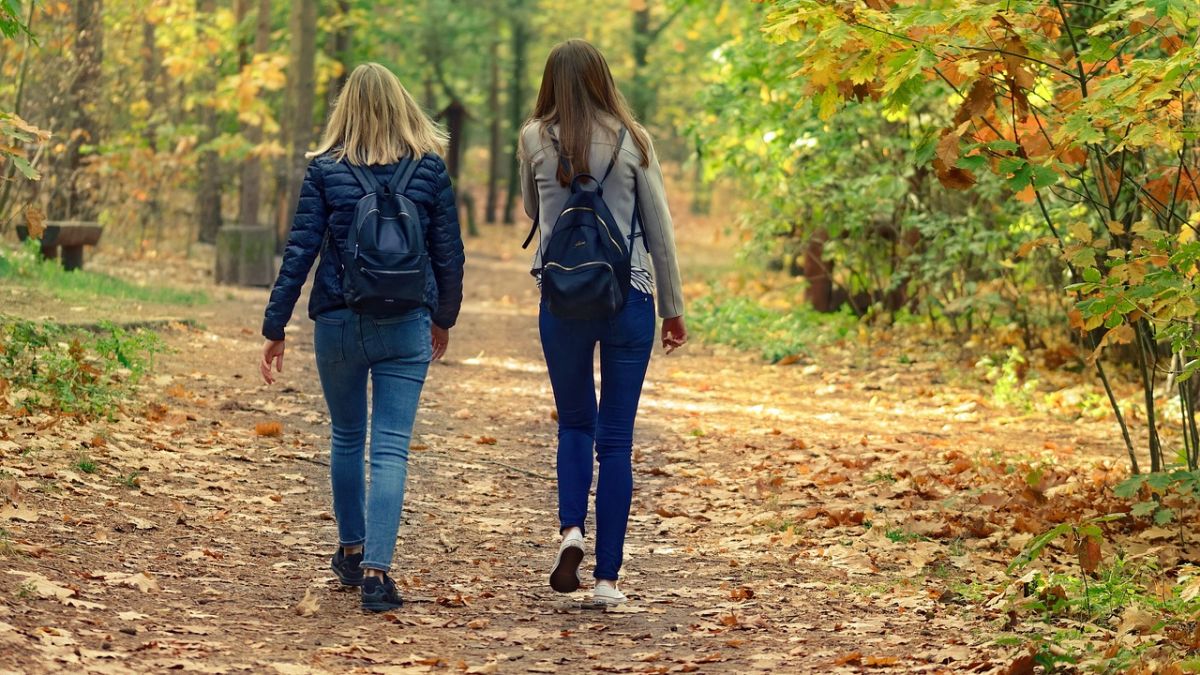 Този виц за блондинки в гората и елха скъса от смях мрежата 