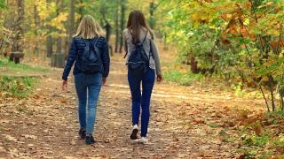 Този виц за блондинки в гората и елха скъса от смях мрежата 