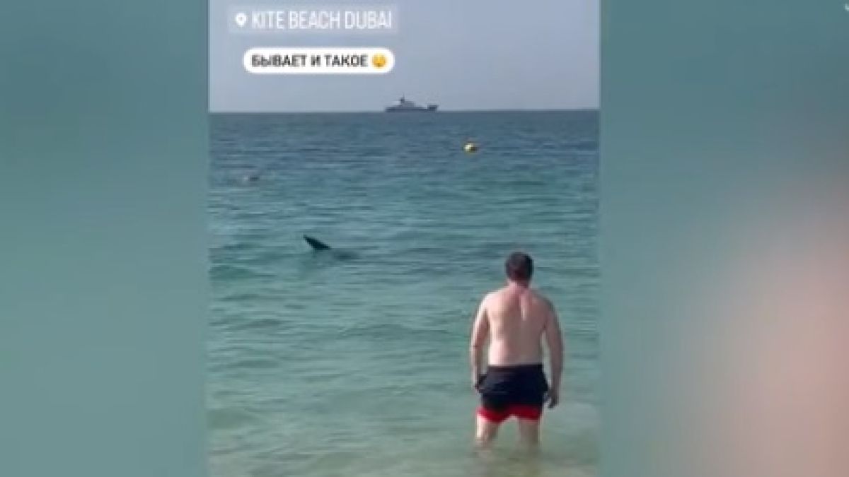 Зрелищно ВИДЕО: Акула заседна в дубайски залив, където плуват туристи 