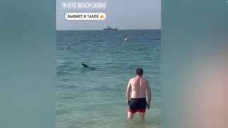 Зрелищно ВИДЕО: Акула заседна в дубайски залив, където плуват туристи 