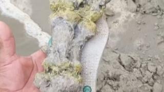 Извънземно? Откриха гигантска ръка с пръсти на плажа в Бразилия ВИДЕО