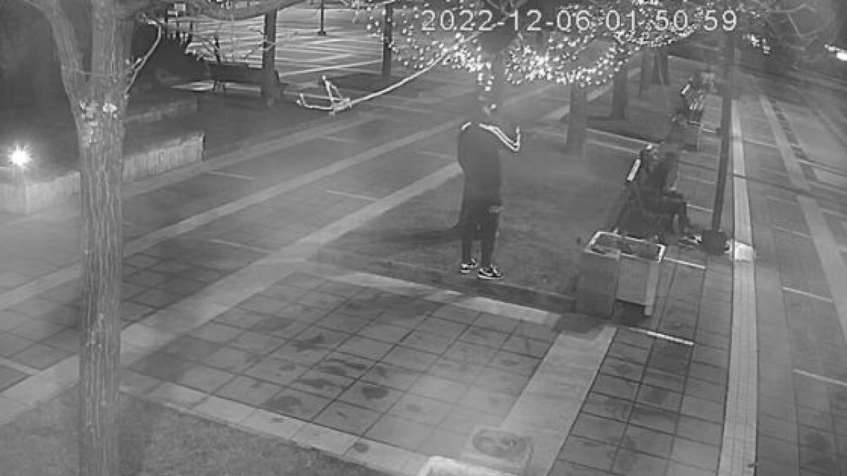Мрежата е в шок от това, което направиха младежи в Благоевград ВИДЕО