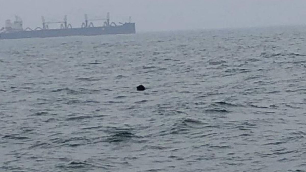 Извънредна ситуация в Черно море до Констанца СНИМКИ