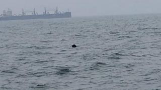 Извънредна ситуация в Черно море до Констанца СНИМКИ