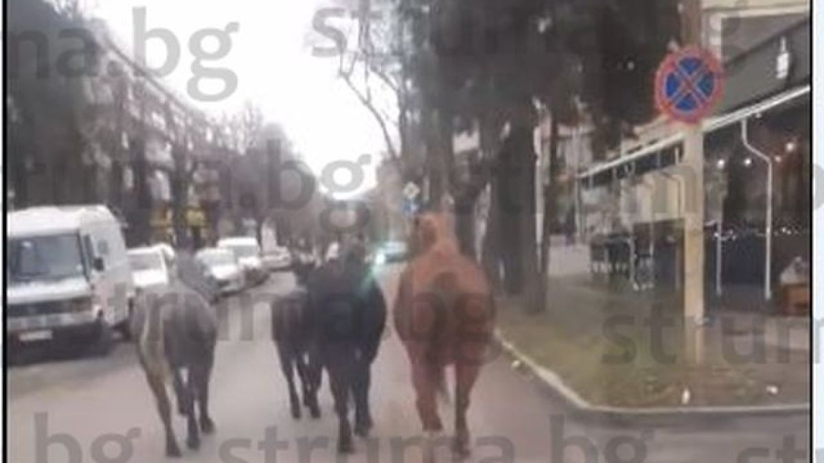 Перничани гледат и не вярват на очите си, такова нещо в центъра не се вижда всеки ден СНИМКА