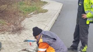 Столичанин в шок от това, което работници направиха в "Овча Купел" СНИМКИ
