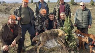 Ловци от Сенокос повалиха най-страшния звяр в Пиринско СНИМКА