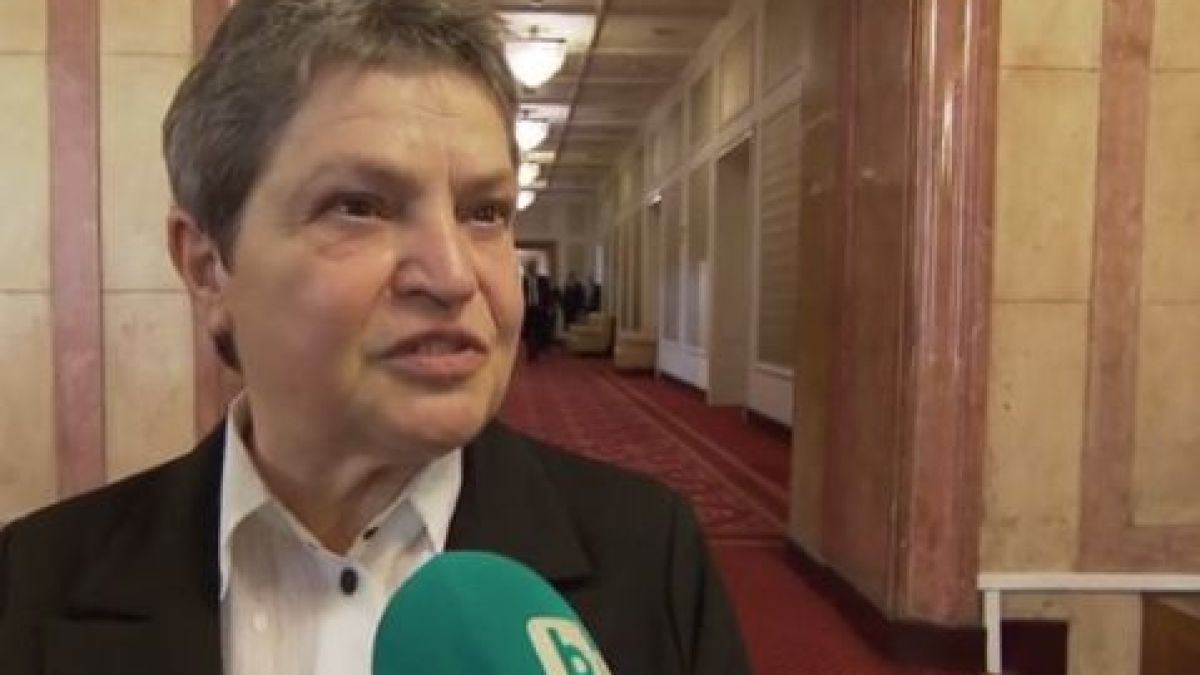 Миглена Тачева: Някои партии не дадоха шанс на истинската реформа, а Христо Иванов...