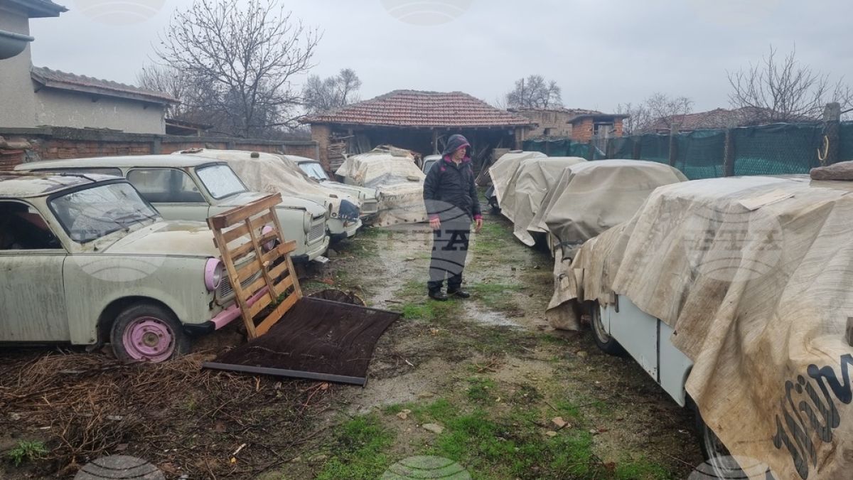 В двора на банковия служител Георги се крие невероятно имане