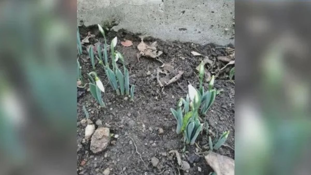 Чудо в Смолян: Всички се чудят какво ще става с природата и с хората