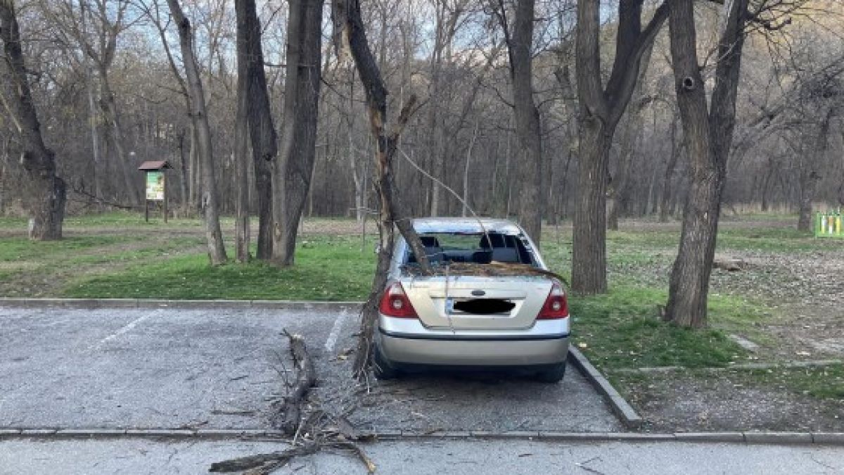 Пловдивчанин никога няма да забрави тази Коледа, наблизо е имало и дете СНИМКИ