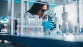 Свинско научно откритие преобърна света! Милиони болни хора ликуват