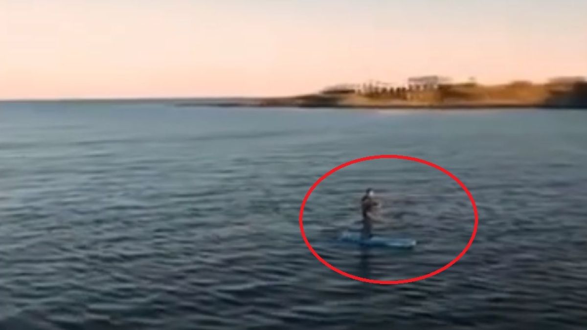 Предозиране! Петков яхна падъл борд посред зима и... ВИДЕО