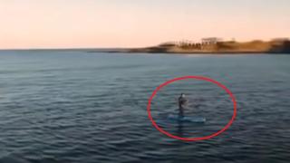 Предозиране! Петков яхна падъл борд посред зима и... ВИДЕО