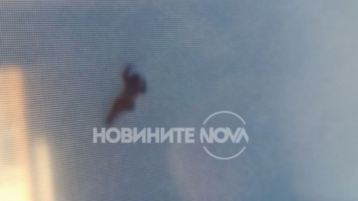 Злокобни СНИМКИ 18+ на труповете, намерени в планината над Банско