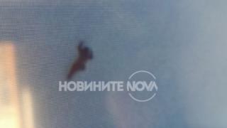 Злокобни СНИМКИ 18+ на труповете, намерени в планината над Банско