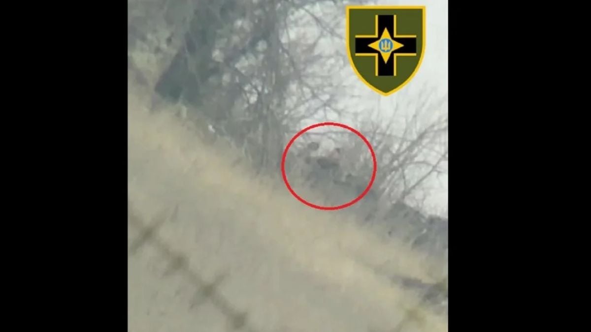 Тайно обучени зайци вкараха руснаци в капан на ВСУ ВИДЕО 