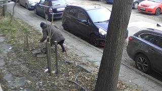 Цяла София се пита защо пенсионерка направи тази грозна вандалщина ВИДЕО 