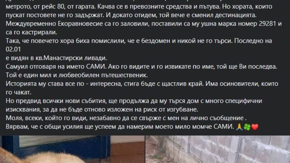 Необикновен гратисчия в тролей смая столичани: Дали си е валидирал билета СНИМКА