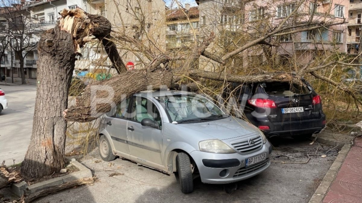 Започна се! Опасното време в България взе първи жертви СНИМКИ 