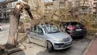 Започна се! Опасното време в България взе първи жертви СНИМКИ 