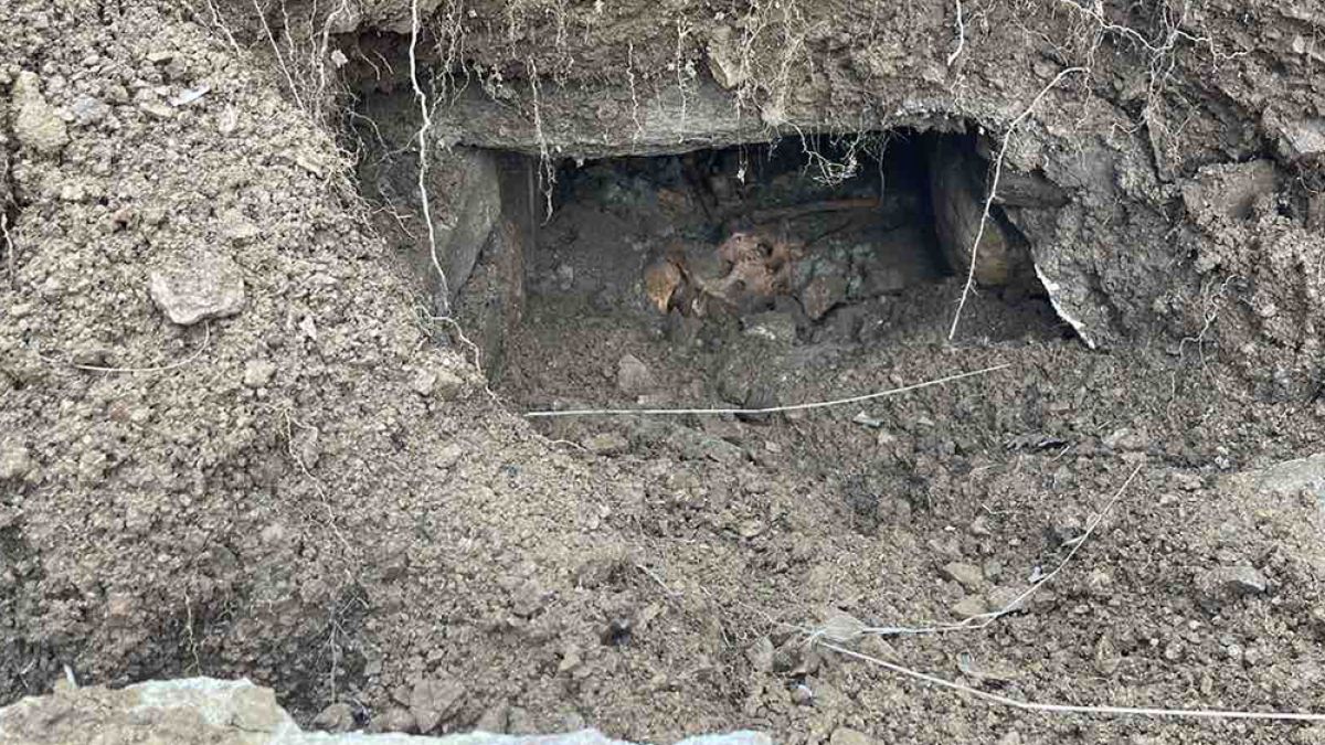 Семейство се натъкна на уникална находка от Средновековието в Родопите СНИМКИ 