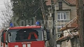 Полицията в Бяла Слатина със страшен удар, разкри голяма тайна под езеро с японски шарани 